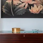 La Yucca * Aradeo