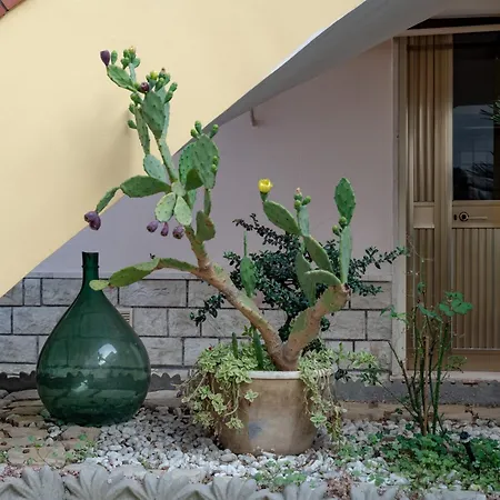 度假居 La Yucca
